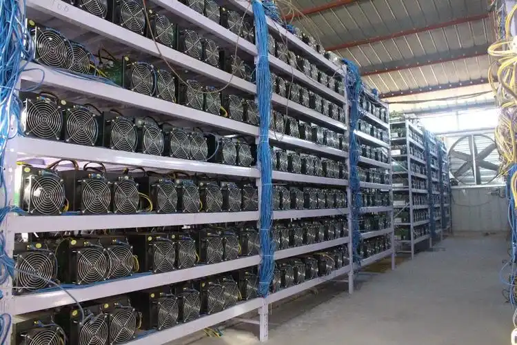 A vast mining farm powered by solar panels, illustrating the potential for sustainable cryptocurrency mining operations.